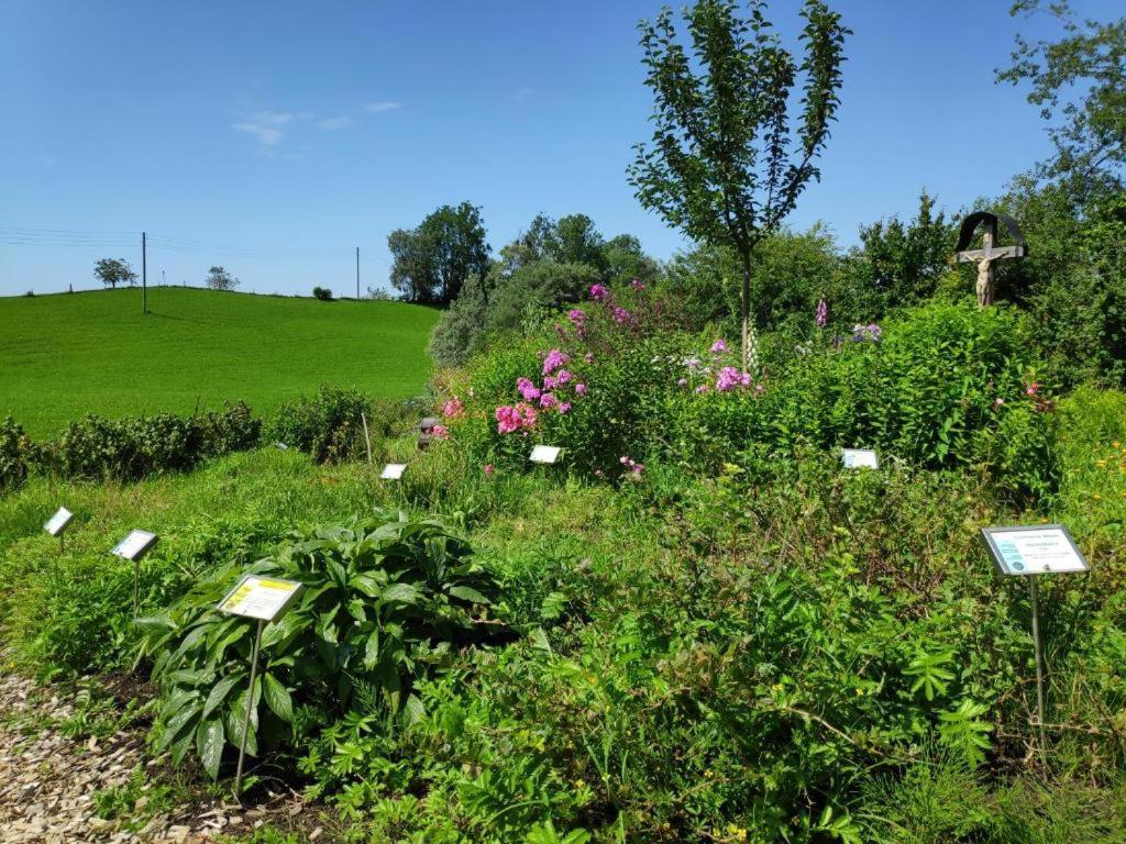Ferienwohnung Allgaeuglueck Im Ferienpark Oberallgaeu Mit Hallenbad, Sauna, Wlan Missen-Wilhams Luaran gambar